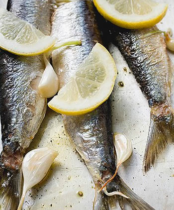 Frozen Sardines And Mackerels export