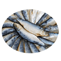 mackerels export 